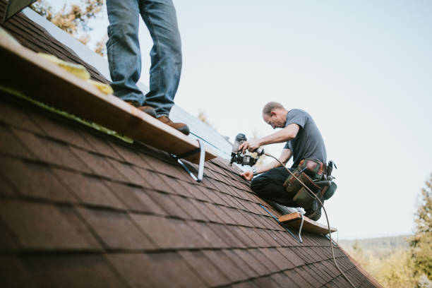 Roof Gutter Cleaning in Bull Mountain, OR